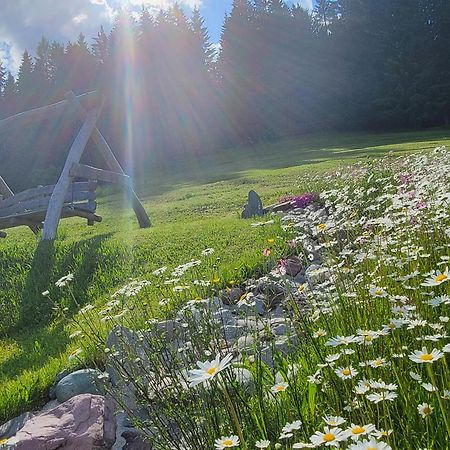 Ferienhof Obertenn Hochfilzen Exterior foto