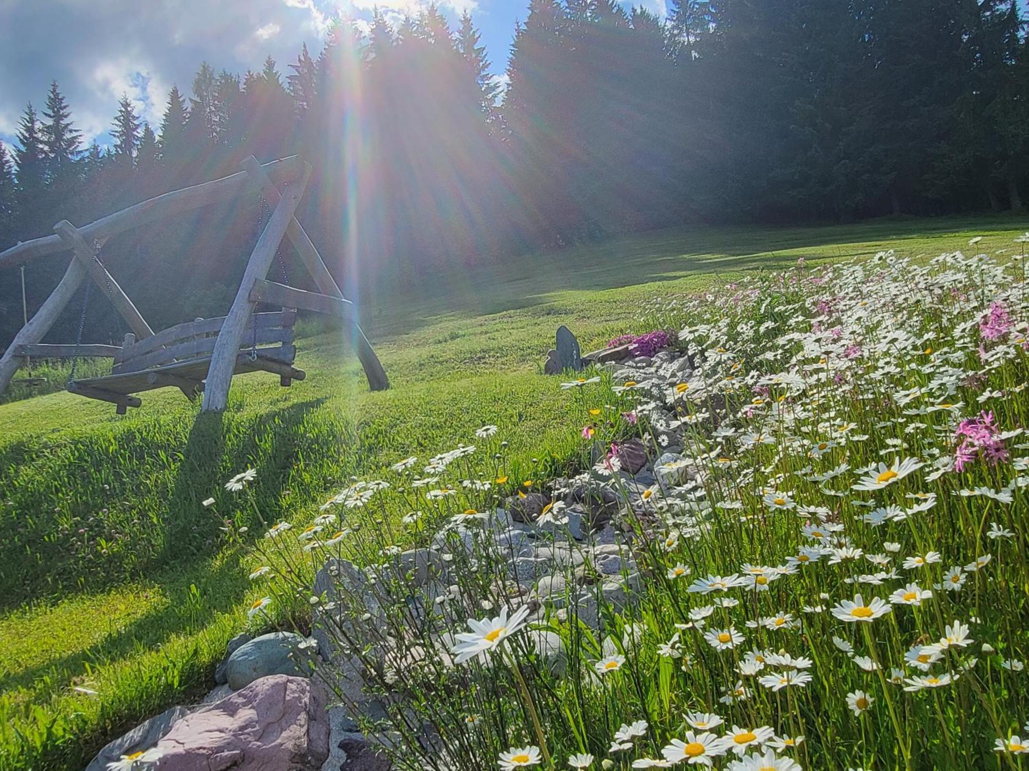 Ferienhof Obertenn Hochfilzen Exterior foto