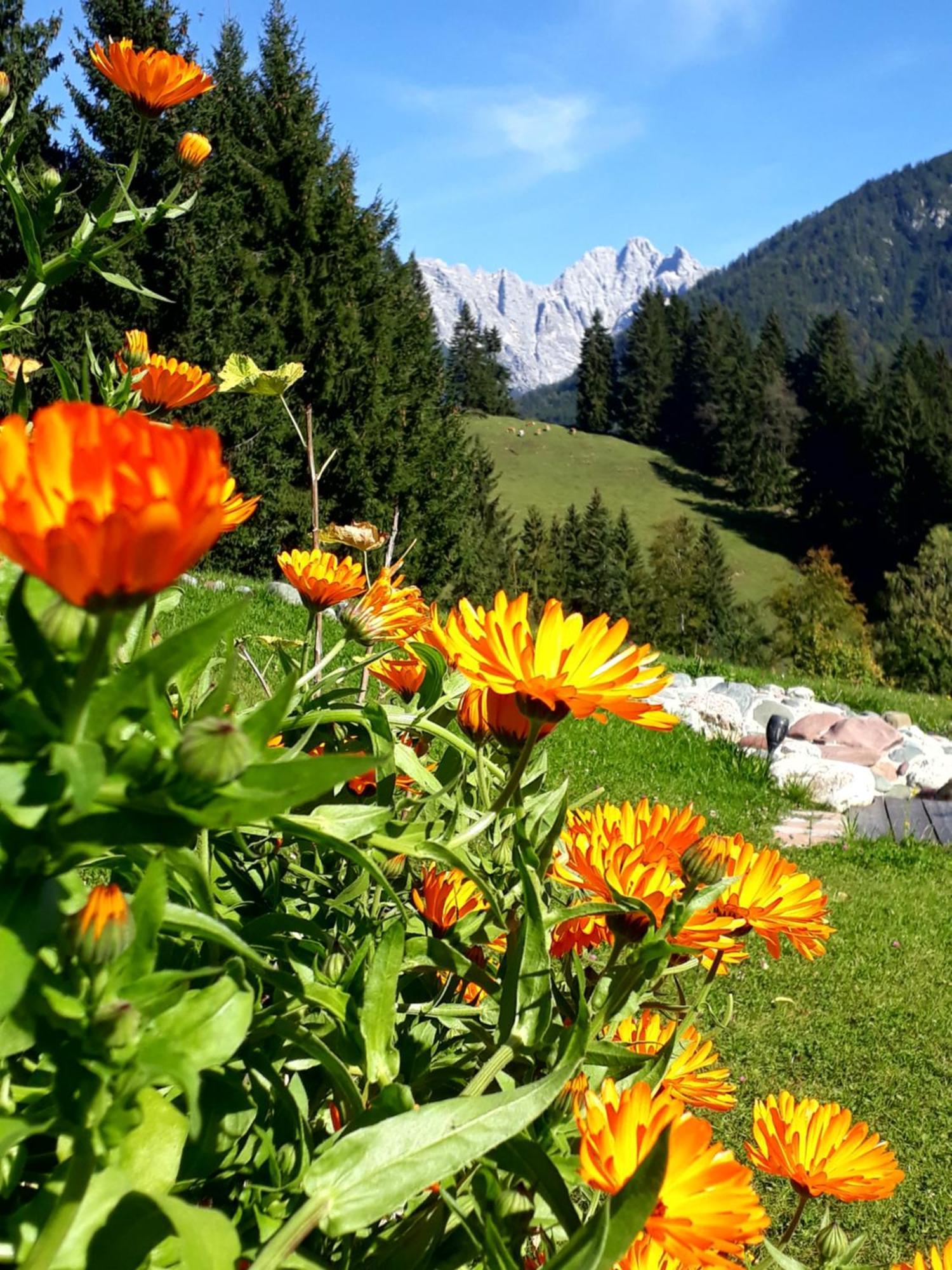 Ferienhof Obertenn Hochfilzen Exterior foto