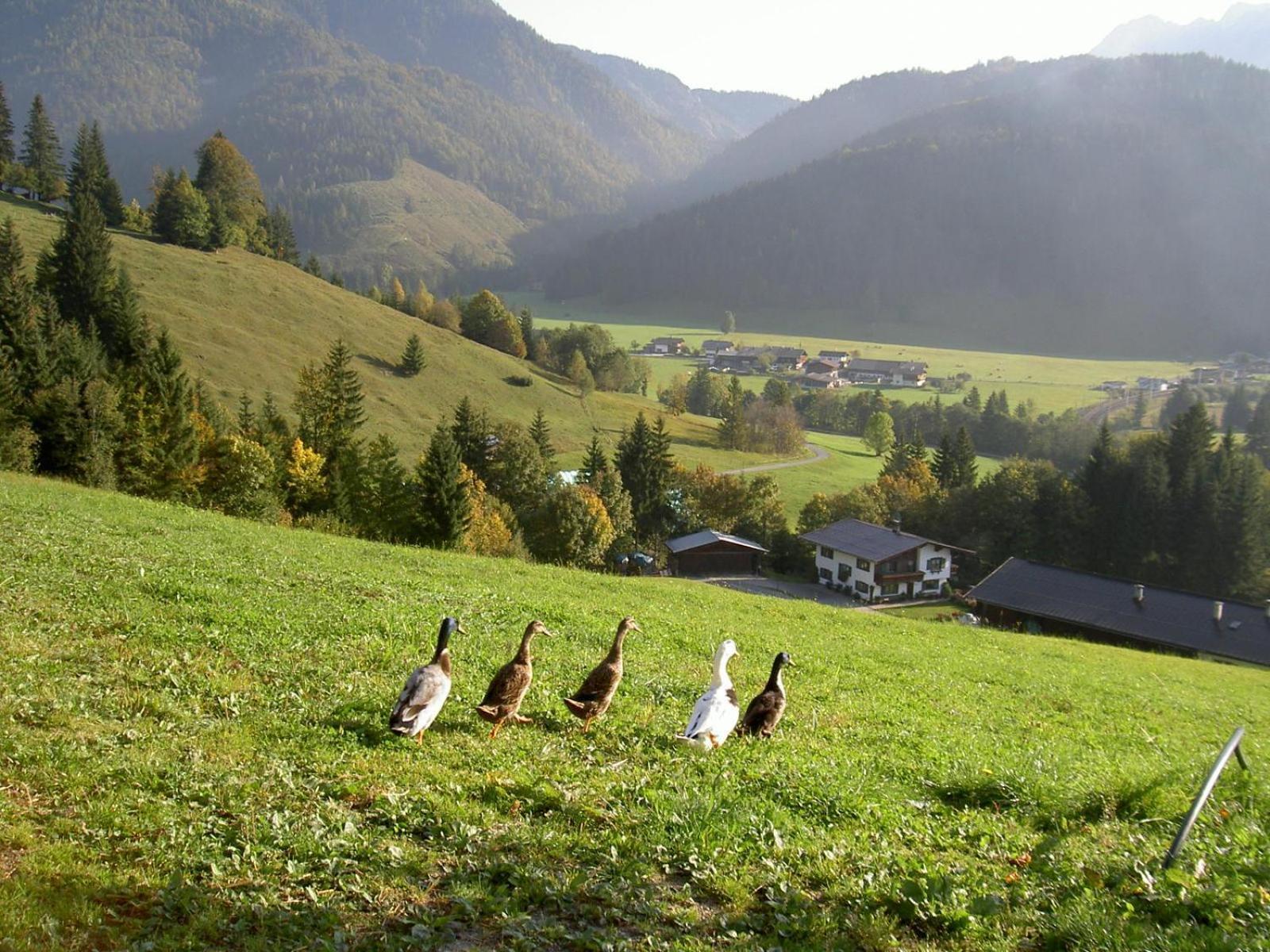 Ferienhof Obertenn Hochfilzen Exterior foto